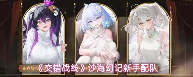 沙海幻记新手组队攻略：高效搭配指南