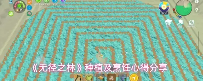 无垠之林种植指南：优选品类与料理心得分享