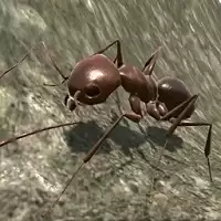 蚂蚁荒野生存模拟