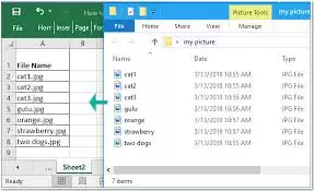 快速在文件夹内搜索Excel单元格内容与信息