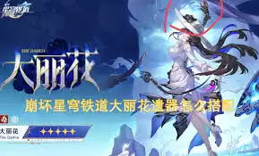 崩坏星穹铁道大丽花遗器搭配攻略：手法详解与套装推荐