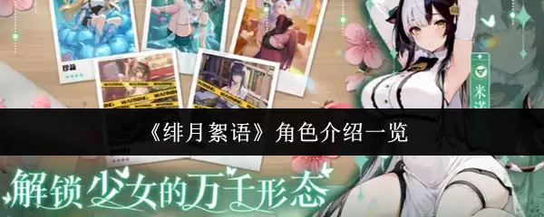 绯月絮语角色介绍：全人物图鉴与特色解析
