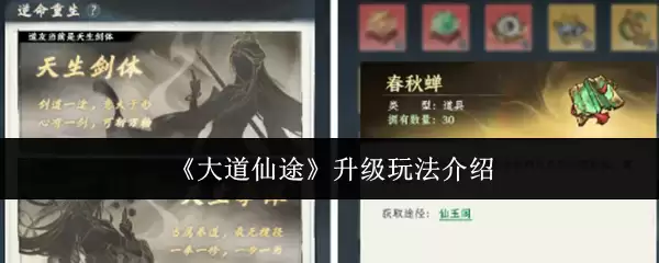 大道仙途升级攻略：高效玩法与技巧详解