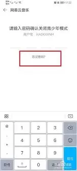 网易云音乐青少年模式密码找回指南：三步轻松重置