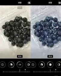 蓝莓视频App滤镜设置指南：详细步骤一学就会