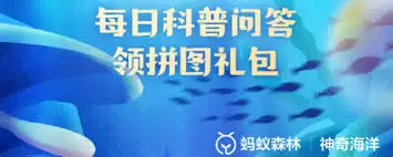 具备复杂社会结构的海洋动物：海豚的社会性与行为解析