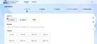 如何高效管理亚马逊代购支付额度与账务流程