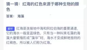 解密红海红色成因：何种生物染色现象所致？