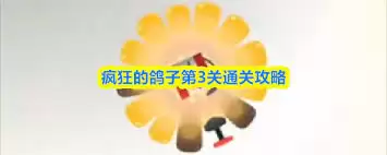 疯狂鸽子第三关通关技巧：三步教你快速过关