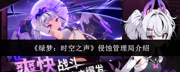 绿梦时空之声：解析监管局的职责与功能