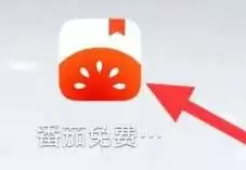 番茄小说热门标签入口在哪里？3步快速查找影视标签