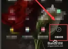 优酷如何查看关注UP主更新：实时追踪动态