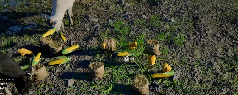 《红色沙漠》快速养殖攻略分享