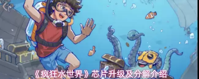 芯片升级与分解详解：水世界芯片升级拆解攻略