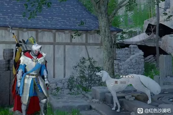 《红色沙漠》稀有宠物萨路基猎犬位置分享 萨路基猎犬在哪