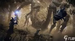 艾尔登法环黑夜君临隐士怎么玩