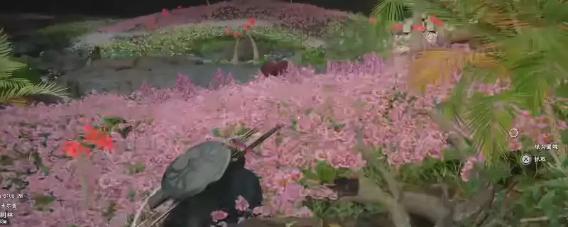 红色沙漠传奇马卡莫拉怎么获得-传奇马卡莫拉和劲绿草获得方法介绍