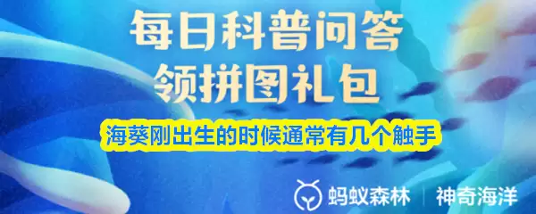 海葵刚出生时有几个触手？支付宝神奇海洋今日答案