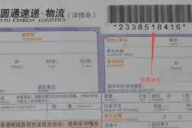 如何进行圆通包裹查询单号输入-圆通包裹查询单号输入的方法