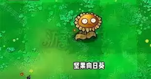 植物大战僵尸杂交版坚果向日葵能产出多少瓜子