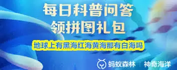 地球上有白海吗