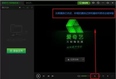 爱奇艺万能播放器怎么开启显示歌词