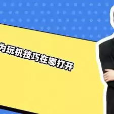 玩机技巧在哪里可以打开