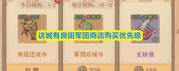 这城有良田军团商店买什么