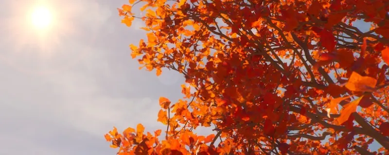 《奇异人生：重聚》结局成就解锁指南-蓝发女孩与行走的亡灵成就获取方法