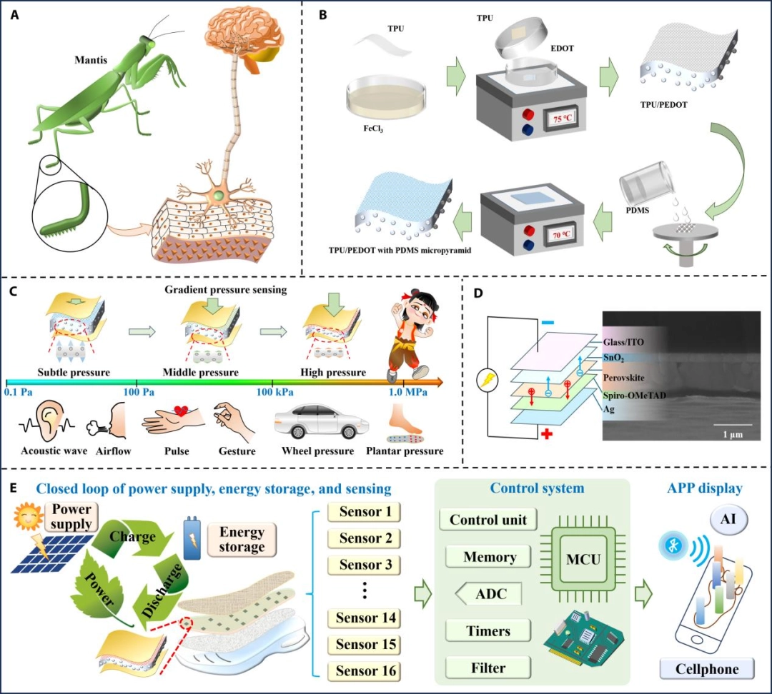 没病走两步，西电团队开发出能监测身体状况的柔性传感鞋垫