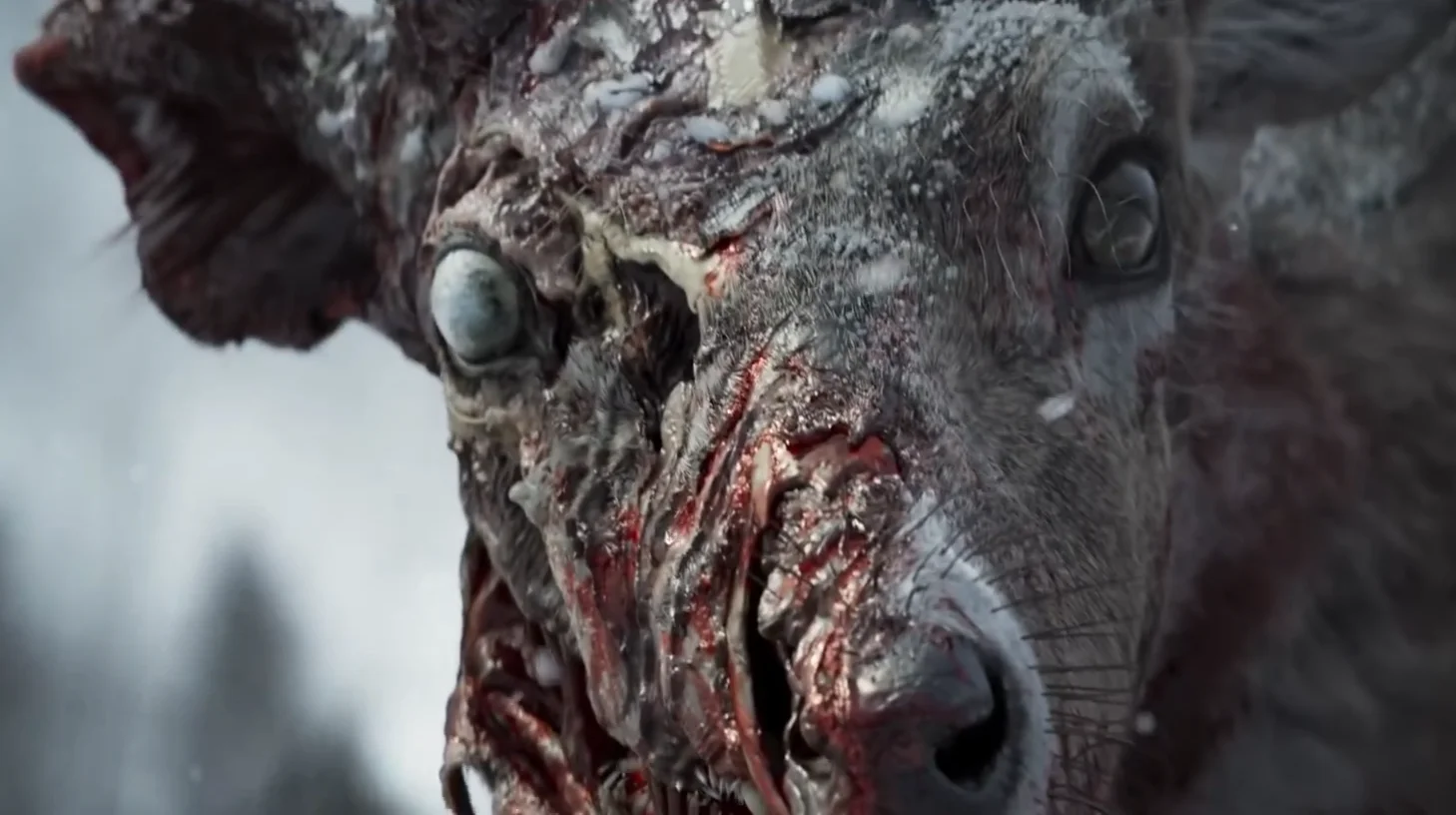 “没有僵尸鹿”——开发者称《State of Decay 3》2020年预告片仅为“概念演示”，当时游戏还“停留在文档阶段”