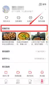 如何查看西瓜视频评论历史