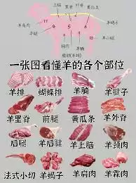 羊蝎子火锅中羊蝎子是哪个部位
