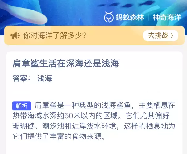 肩章鲨生活在深海还是浅海