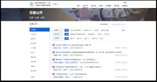 公共资源交易官网入口在哪