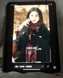 红果在ipad上无法全屏怎么办