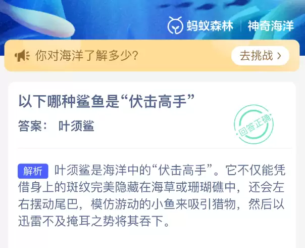 以下哪种鲨鱼是伏击高手