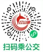 红山通如何进行实名认证