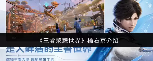 《王者荣耀世界》橘右京介绍