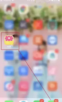 美柚软件怎么数胎动