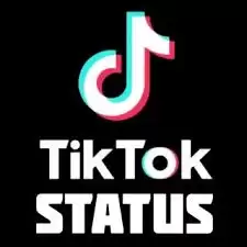 TikTok账号被限制发布怎么办