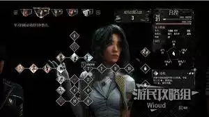 远征33露恩如何构建最佳阵容