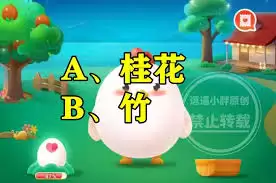 哪个不属于花中四君子