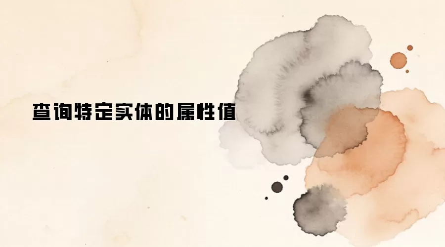 查询特定实体的属性值