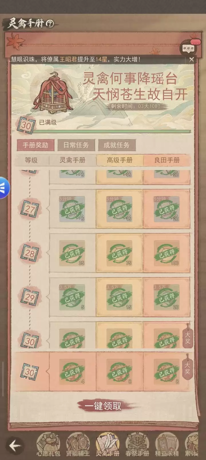 高级手册核心奖励