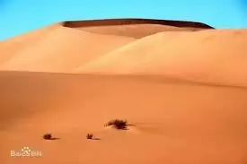 海洋中哪种区域被称作海洋沙漠