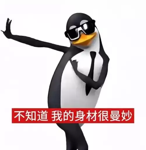 我的身材很曼妙梗介绍