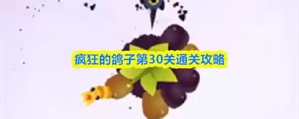 疯狂的鸽子第30关通关攻略