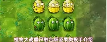 植物大战僵尸融合版中有哪些坚果类投手