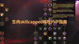 魔兽世界wlk暗牧PVP怎么玩